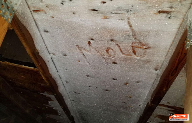 Formation de barrages de glace menant à la croissance de moisissures au grenier