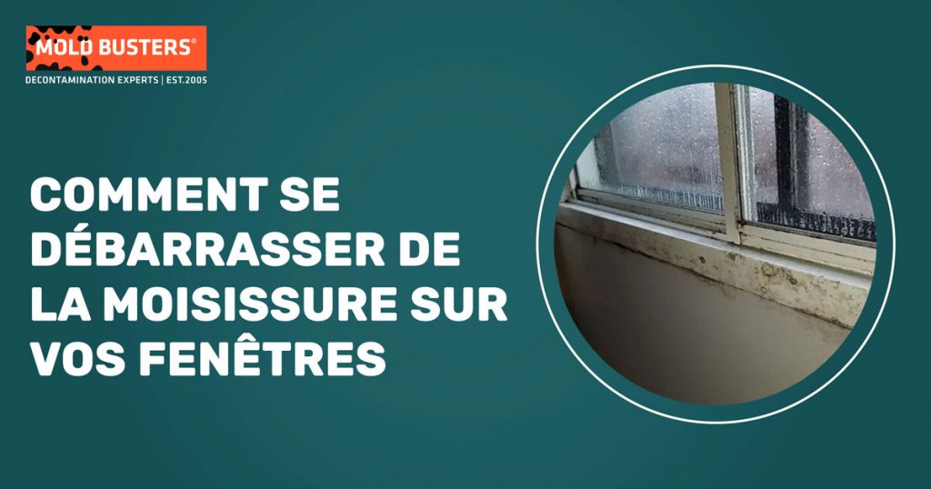 Comment se débarrasser de la moisissure sur vos fenêtres Mold Busters — free download
